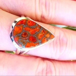 Dinosaur Bone Gemstone & Sterling Silver Ring